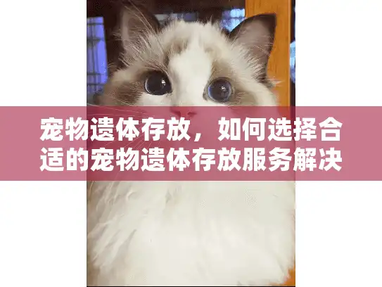 宠物遗体存放，如何选择合适的宠物遗体存放服务解决紧急问题？