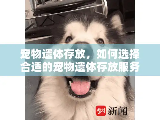 宠物遗体存放，如何选择合适的宠物遗体存放服务解决紧急问题？