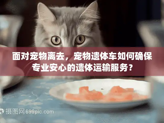面对宠物离去，宠物遗体车如何确保专业安心的遗体运输服务？