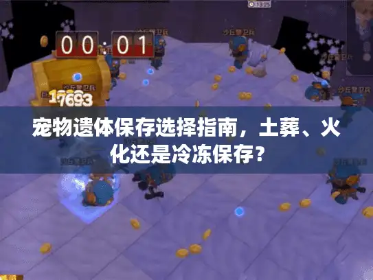 宠物遗体保存选择指南，土葬、火化还是冷冻保存？