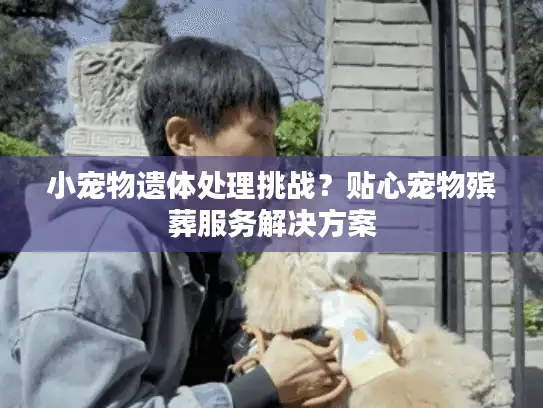 小宠物遗体处理挑战？贴心宠物殡葬服务解决方案