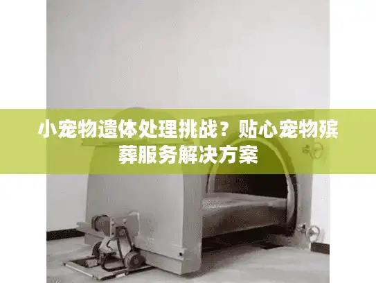 小宠物遗体处理挑战？贴心宠物殡葬服务解决方案