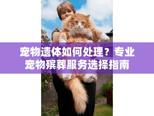 宠物遗体如何处理？专业宠物殡葬服务选择指南