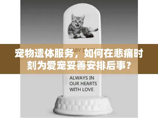 宠物遗体服务，如何在悲痛时刻为爱宠妥善安排后事？