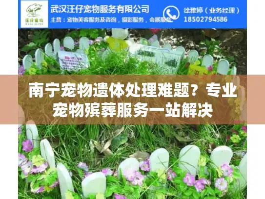 南宁宠物遗体处理难题？专业宠物殡葬服务一站解决