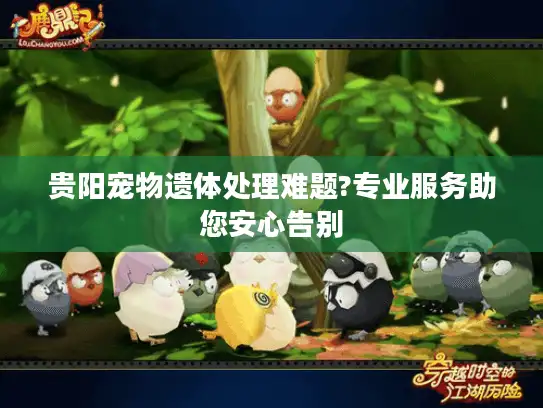 贵阳宠物遗体处理难题?专业服务助您安心告别