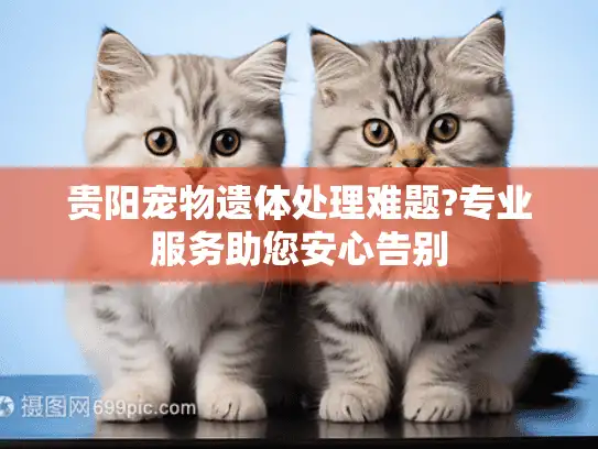 贵阳宠物遗体处理难题?专业服务助您安心告别