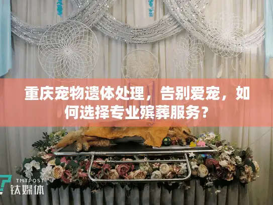 重庆宠物遗体处理，告别爱宠，如何选择专业殡葬服务？