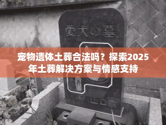 宠物遗体土葬合法吗？探索2025年土葬解决方案与情感支持