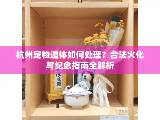 杭州宠物遗体如何处理？合法火化与纪念指南全解析
