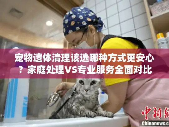 宠物遗体清理该选哪种方式更安心？家庭处理VS专业服务全面对比