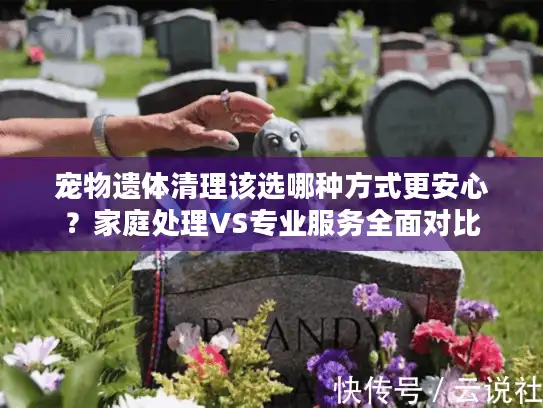 宠物遗体清理该选哪种方式更安心？家庭处理VS专业服务全面对比