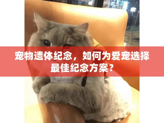 宠物遗体纪念，如何为爱宠选择最佳纪念方案？