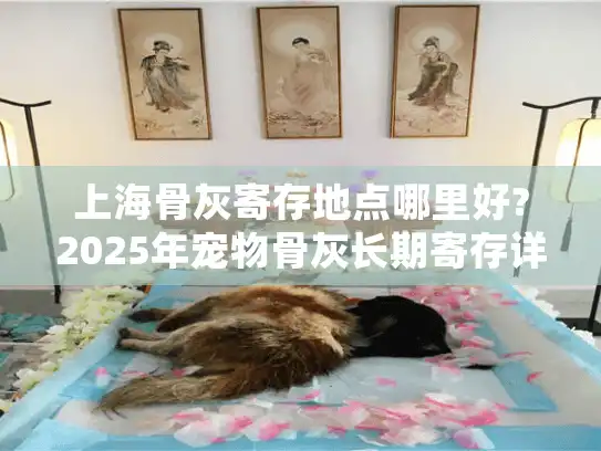 上海骨灰寄存地点哪里好?2025年宠物骨灰长期寄存详细指南
