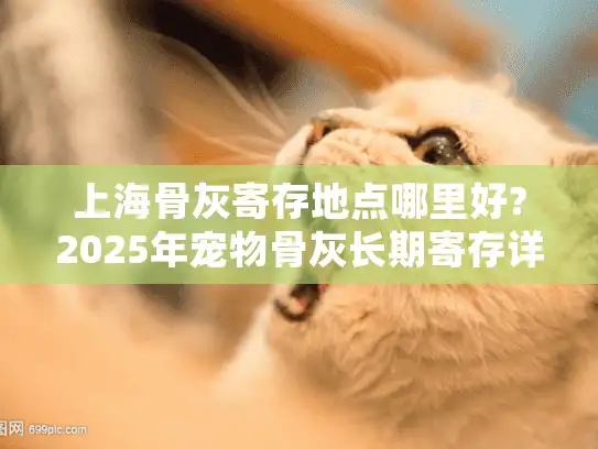 上海骨灰寄存地点哪里好?2025年宠物骨灰长期寄存详细指南