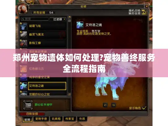郑州宠物遗体如何处理?宠物善终服务全流程指南