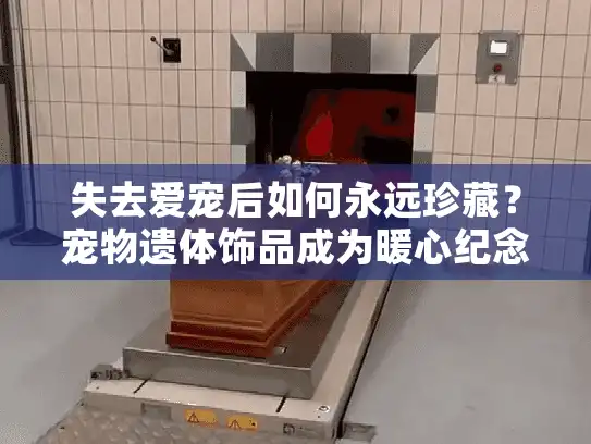 失去爱宠后如何永远珍藏？宠物遗体饰品成为暖心纪念选择