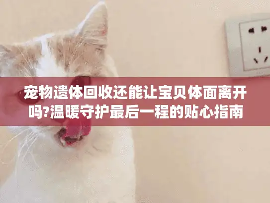 宠物遗体回收还能让宝贝体面离开吗?温暖守护最后一程的贴心指南