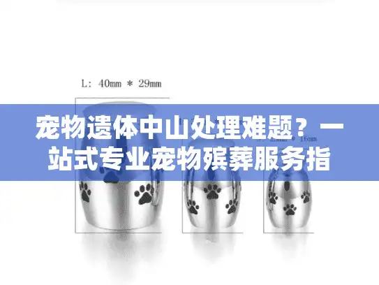 宠物遗体中山处理难题？一站式专业宠物殡葬服务指南
