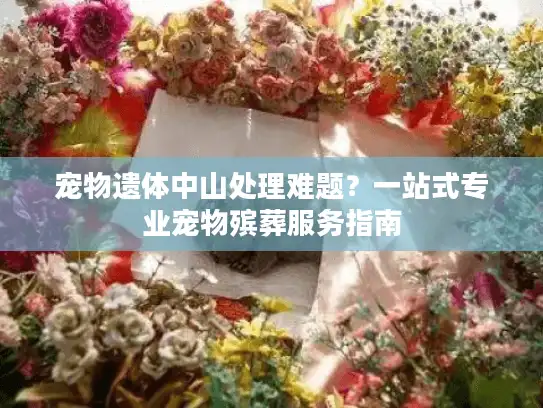 宠物遗体中山处理难题？一站式专业宠物殡葬服务指南