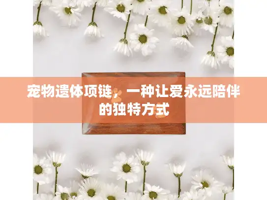 宠物遗体项链，一种让爱永远陪伴的独特方式