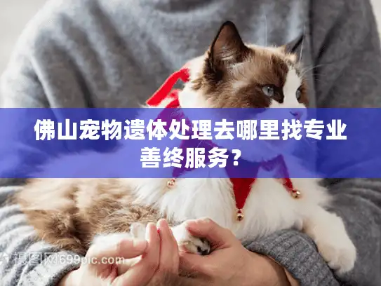 佛山宠物遗体处理去哪里找专业善终服务？