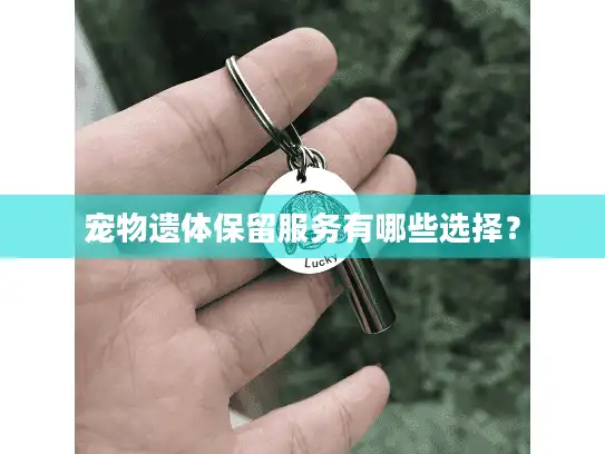 宠物遗体保留服务有哪些选择？