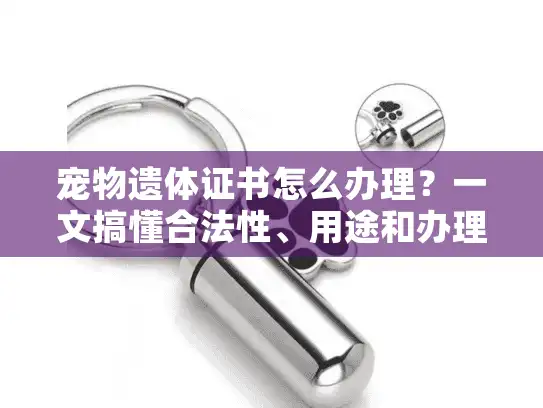 宠物遗体证书怎么办理？一文搞懂合法性、用途和办理流程