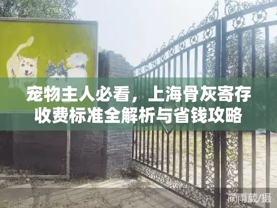 宠物主人必看，上海骨灰寄存收费标准全解析与省钱攻略