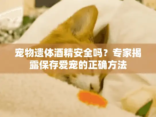 宠物遗体酒精安全吗？专家揭露保存爱宠的正确方法
