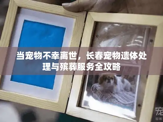 当宠物不幸离世，长春宠物遗体处理与殡葬服务全攻略