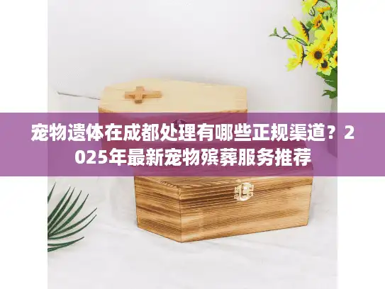 宠物遗体在成都处理有哪些正规渠道？2025年最新宠物殡葬服务推荐