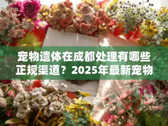 宠物遗体在成都处理有哪些正规渠道？2025年最新宠物殡葬服务推荐