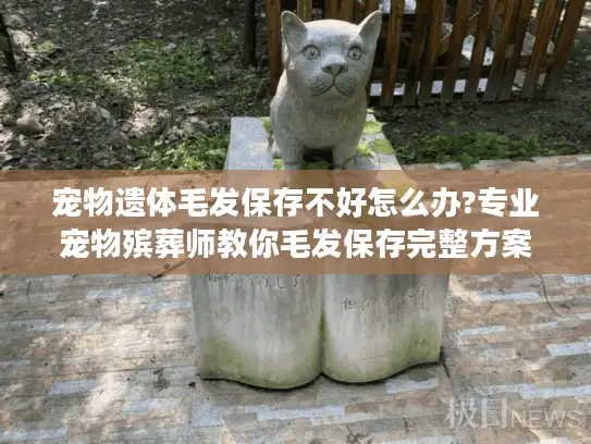 宠物遗体毛发保存不好怎么办?专业宠物殡葬师教你毛发保存完整方案