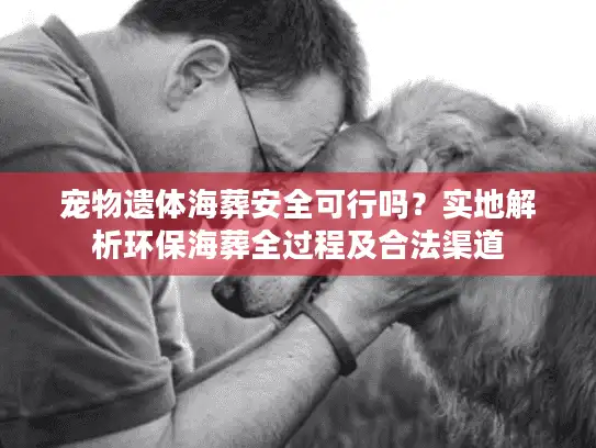 宠物遗体海葬安全可行吗？实地解析环保海葬全过程及合法渠道