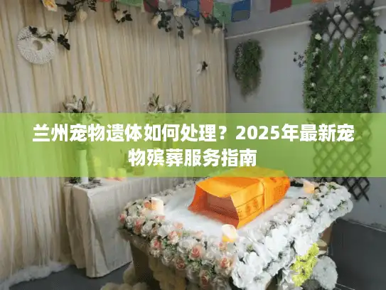 兰州宠物遗体如何处理？2025年最新宠物殡葬服务指南