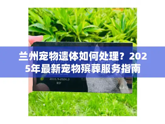 兰州宠物遗体如何处理？2025年最新宠物殡葬服务指南