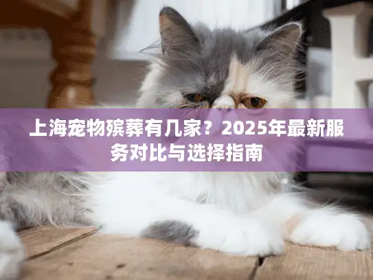 上海宠物殡葬有几家？2025年最新服务对比与选择指南