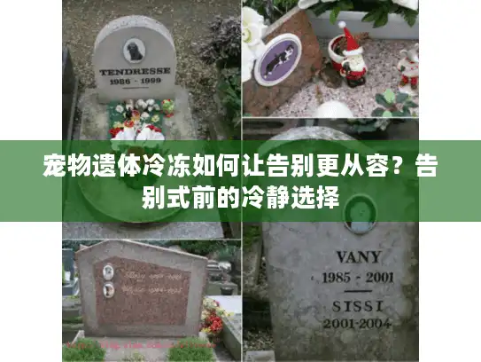 宠物遗体冷冻如何让告别更从容？告别式前的冷静选择