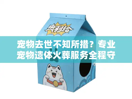 宠物去世不知所措？专业宠物遗体火葬服务全程守护