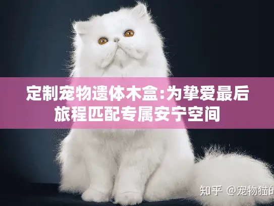 定制宠物遗体木盒:为挚爱最后旅程匹配专属安宁空间