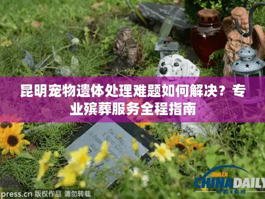 昆明宠物遗体处理难题如何解决？专业殡葬服务全程指南