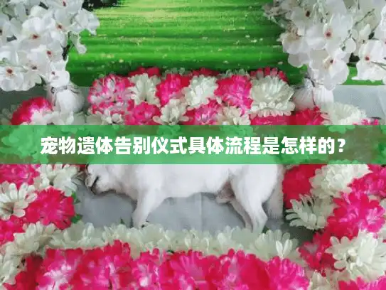 宠物遗体告别仪式具体流程是怎样的？