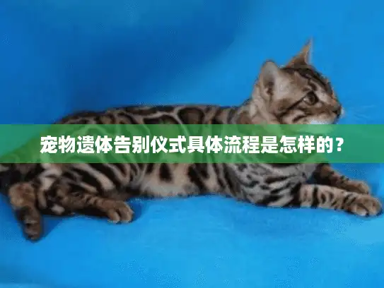 宠物遗体告别仪式具体流程是怎样的？