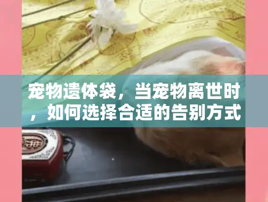 宠物遗体袋，当宠物离世时，如何选择合适的告别方式？