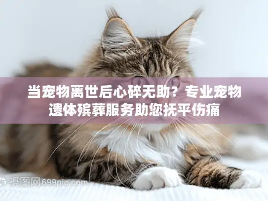当宠物离世后心碎无助？专业宠物遗体殡葬服务助您抚平伤痛