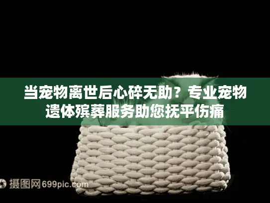 当宠物离世后心碎无助？专业宠物遗体殡葬服务助您抚平伤痛