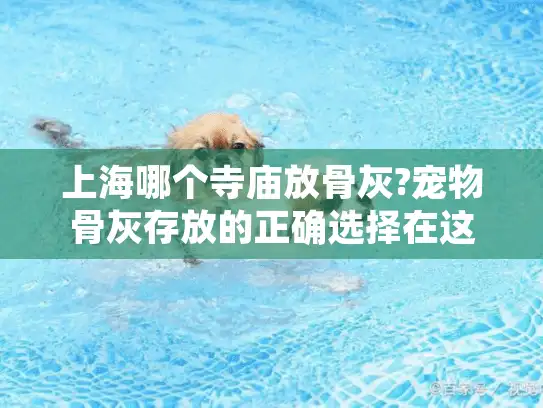 上海哪个寺庙放骨灰?宠物骨灰存放的正确选择在这里