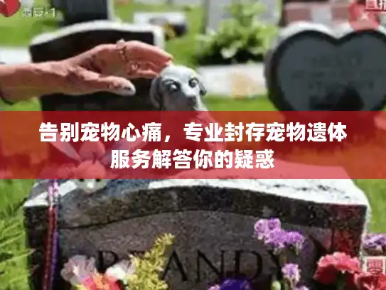 告别宠物心痛，专业封存宠物遗体服务解答你的疑惑