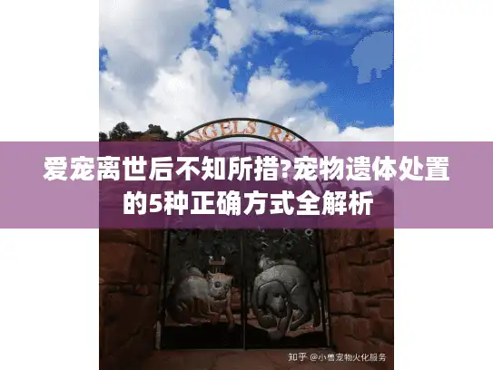 爱宠离世后不知所措?宠物遗体处置的5种正确方式全解析